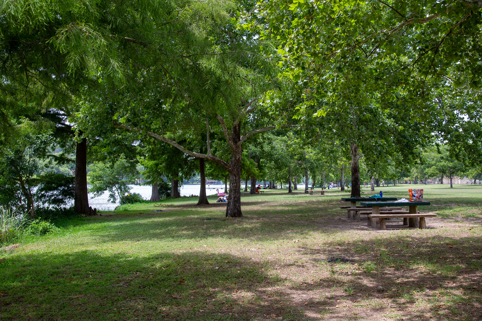 Emma Long Park