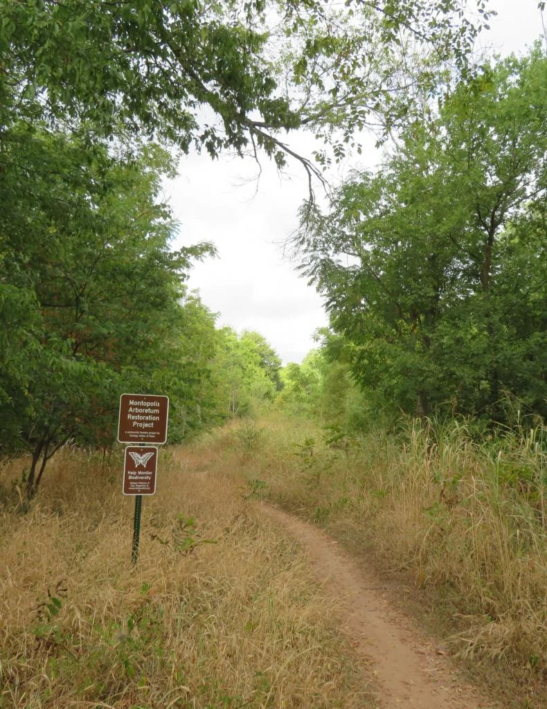 trailheadsm
