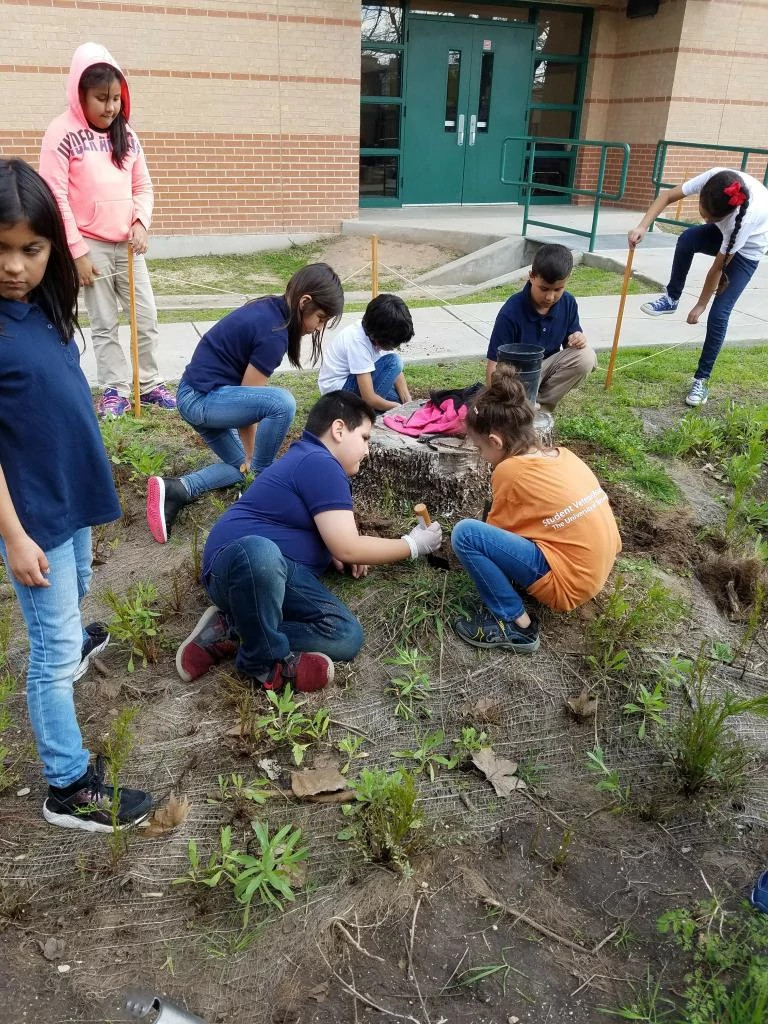 Barrington_Elem_raingarden (6)_1.jpg