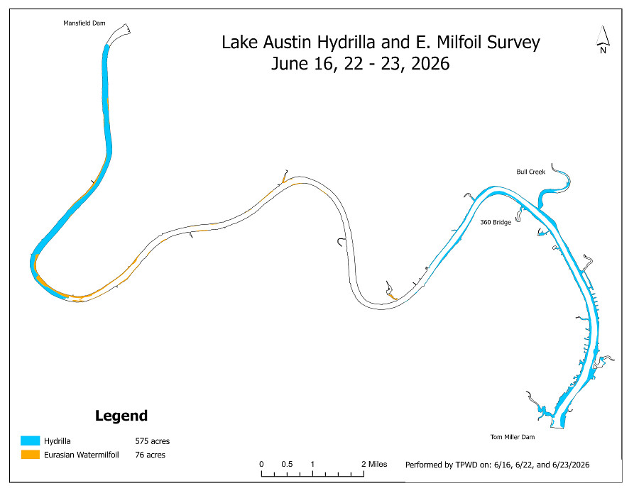 Vegetation survey map of Lake Austin from Texas Parks and Wildlife Department's June 2026 survey.