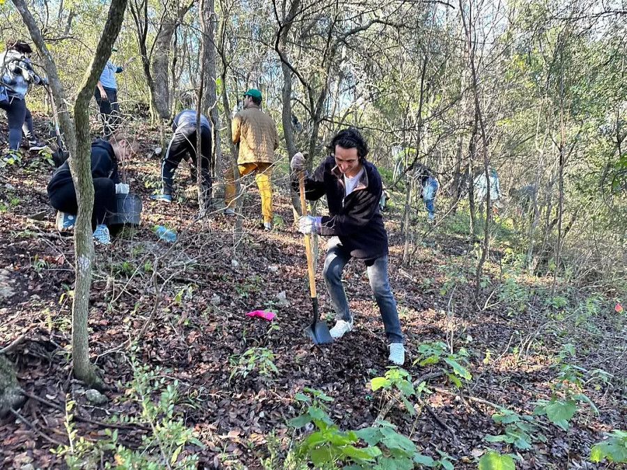 Volunteers plant saplings and spread seeds in Windsor Hillside. 