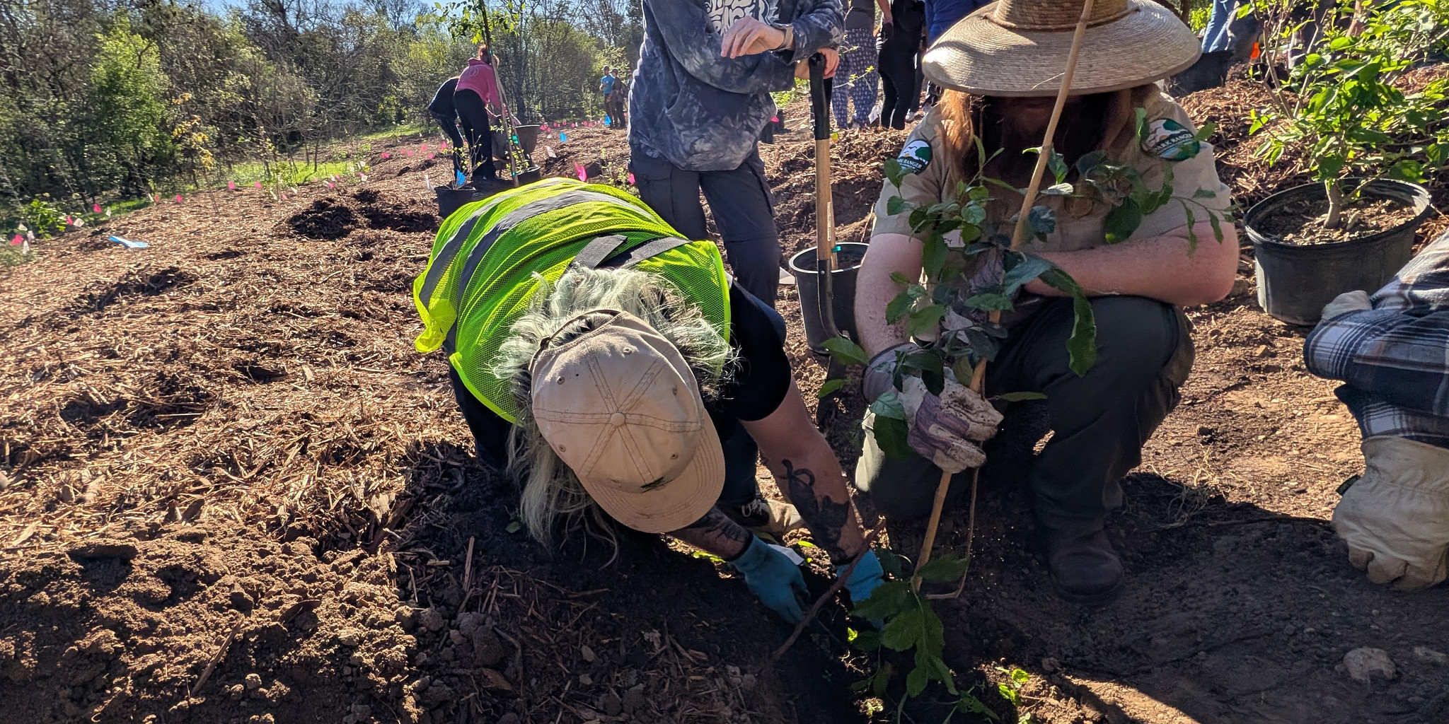 Two people planting a tree.