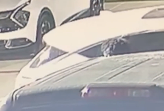 catalytic converter suspect vehicle photo