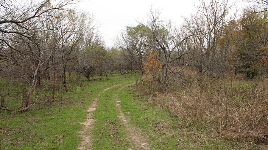 onion creek post burn 12 1 2022 Davis small.jpg