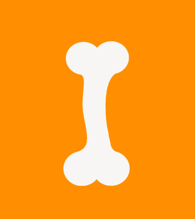 White bone on orange background