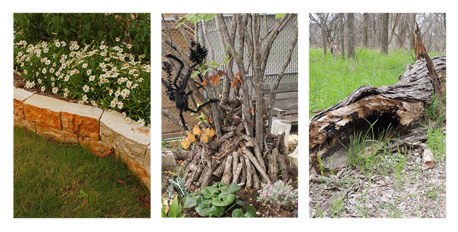 shelter types 3x1_5.jpg