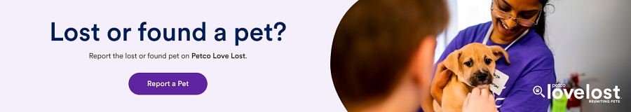 Petco Love Lost Link with photo of dog's head on a vet's shoulder being petted. 