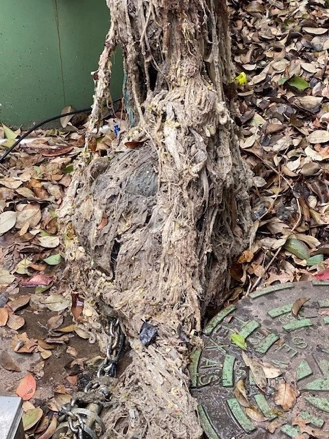 Bee Caves Lift Station No Wipes in Pipes