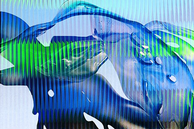 Frolicing & BlueGreenRefractory 3_650 pixles.jpg