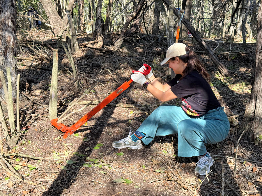 Red Bluff Volunteer Working