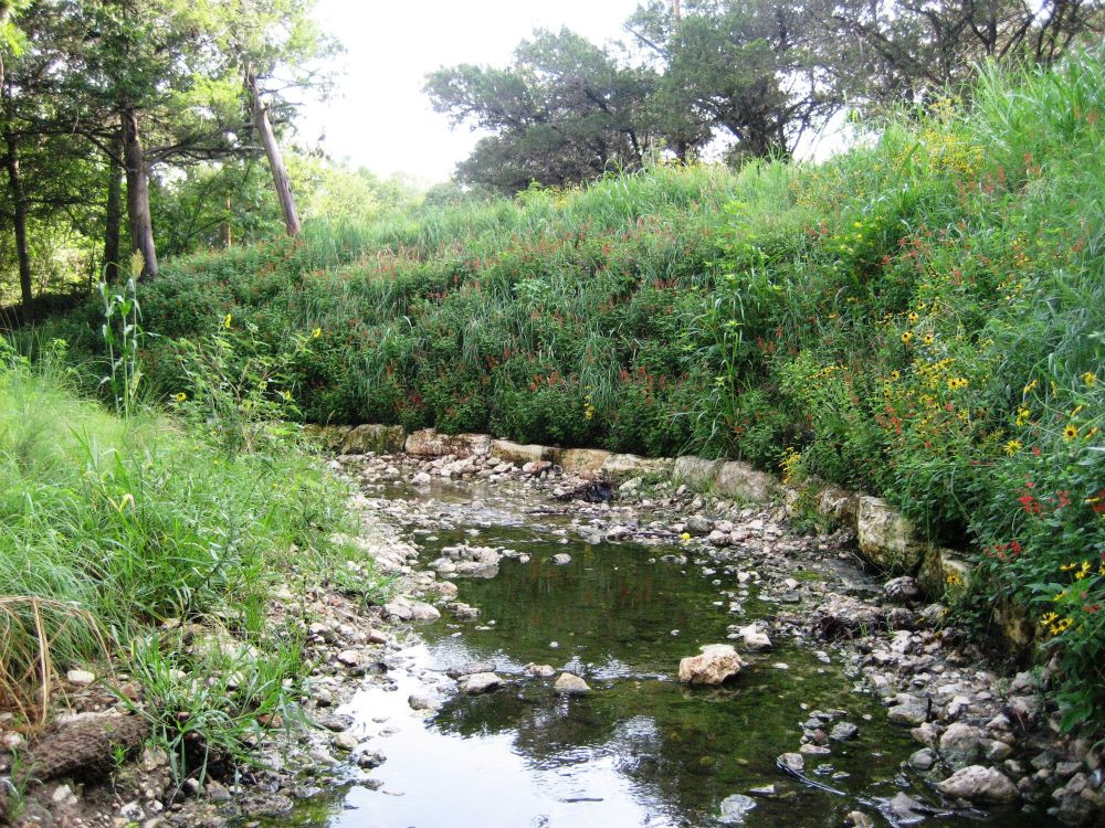 Creek Erosion