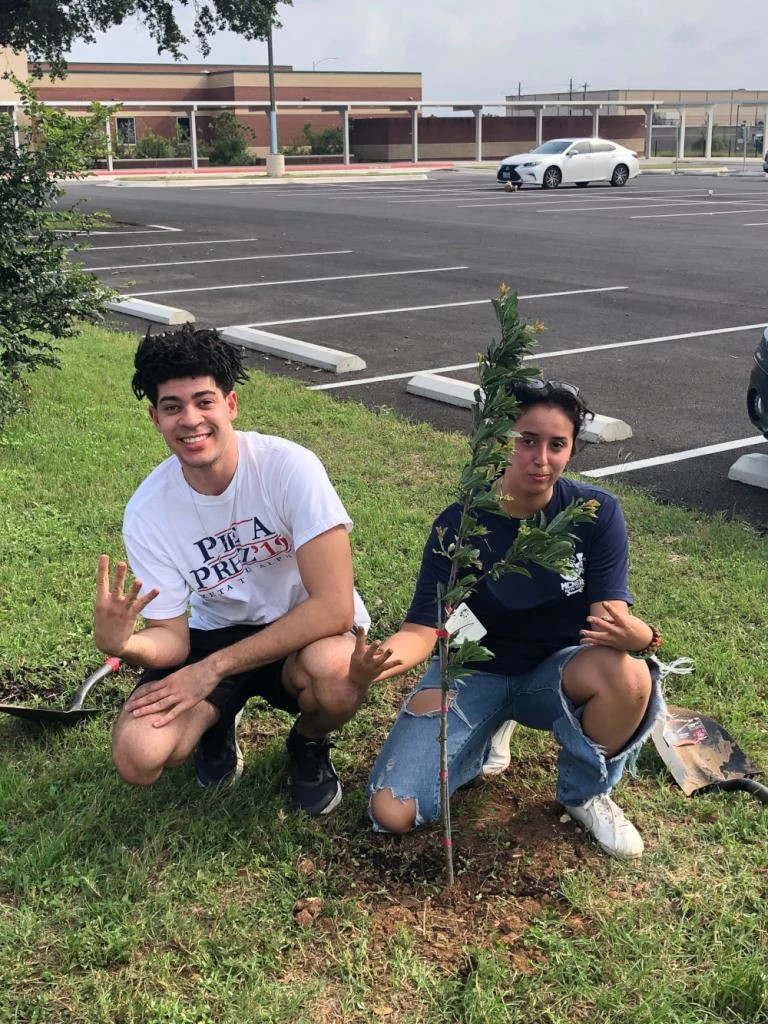 new tree sm
