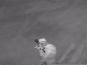 Space Goblin Suspect Photo 1