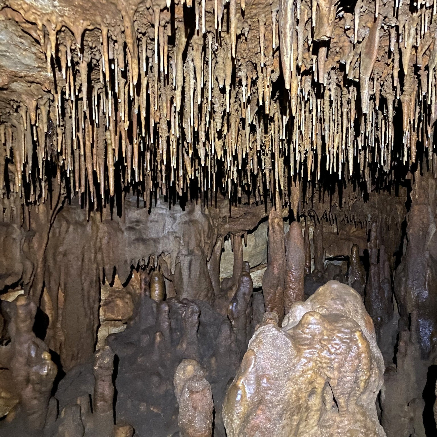 A view inside a cave in Austin Water's Wildlands conservation area.