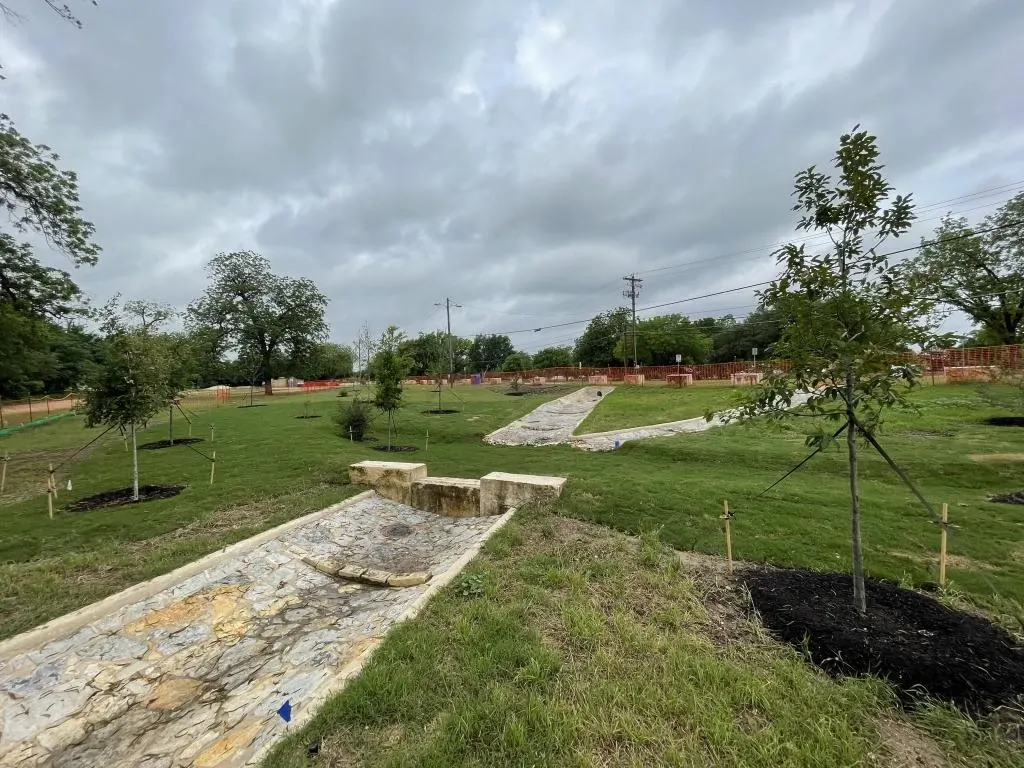  Zilker Pecan Grove Tree Planting
