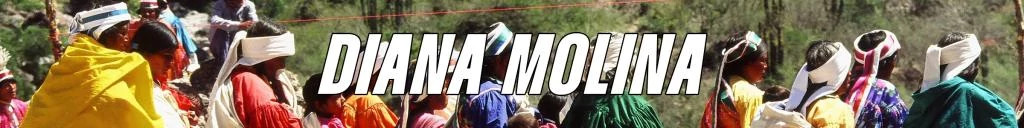 DianaMolina(WebBanner).jpg