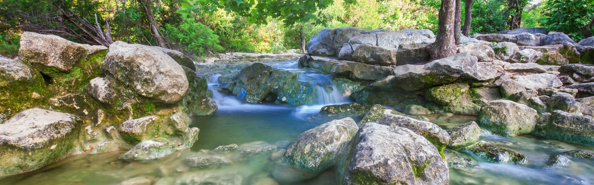 Grow Green | Austin Watershed Protection | AustinTexas.gov