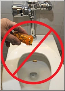 Medicine Flush.jpg