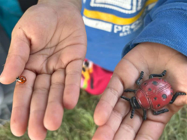  Child exploring our Loose Parts Lending Kits at Brownie Neighborhood Park 