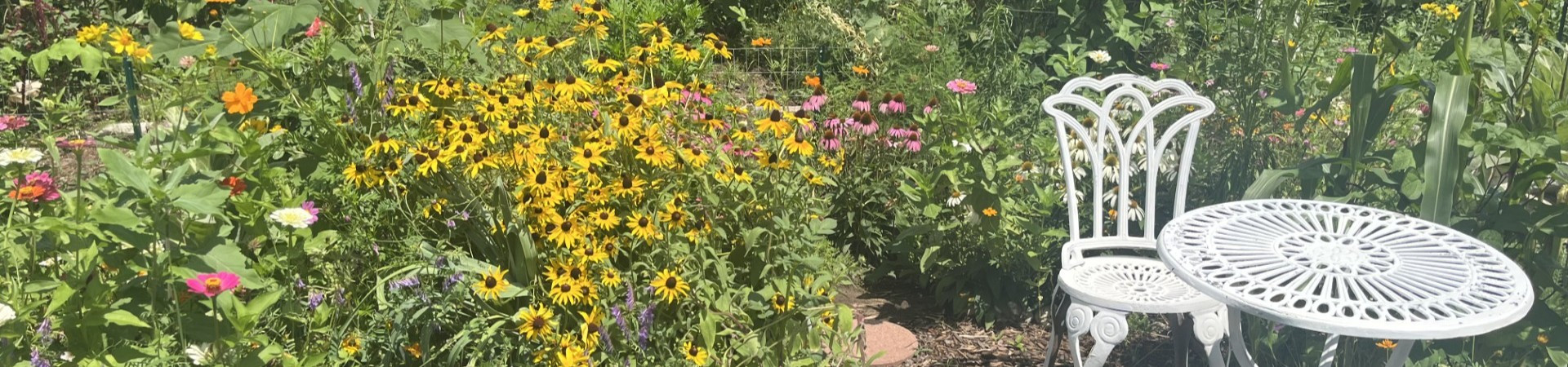 Image of a garden plot at Deep Eddy Community Garden with many beautiful pink and yellow flowers and a white chair with a table.