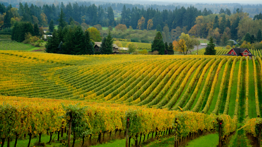 Air Service (13).png