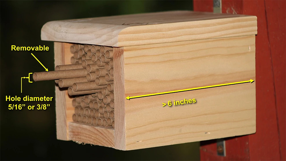Bee house with dimensions Davis small.jpg