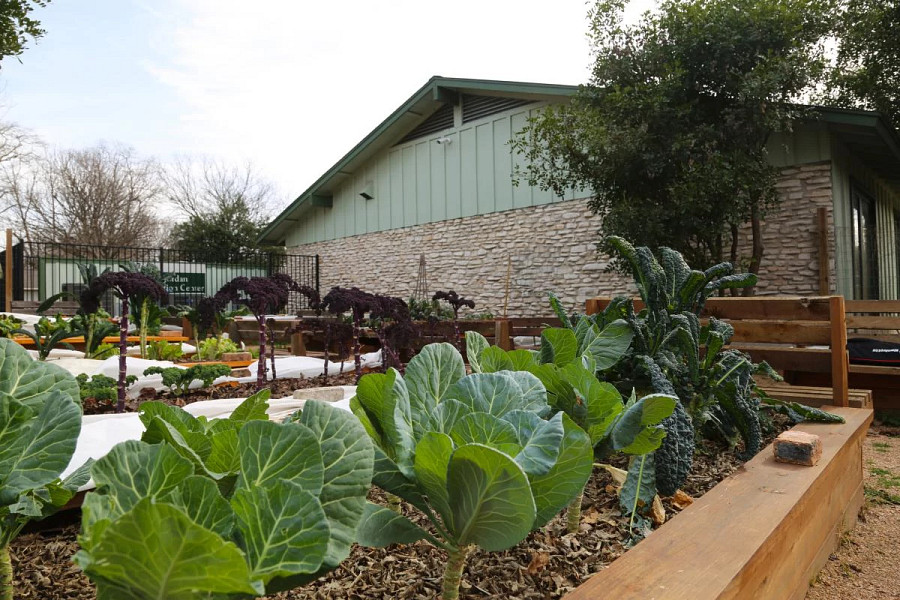 Dottie_Jordan_Recreation_Center__2_