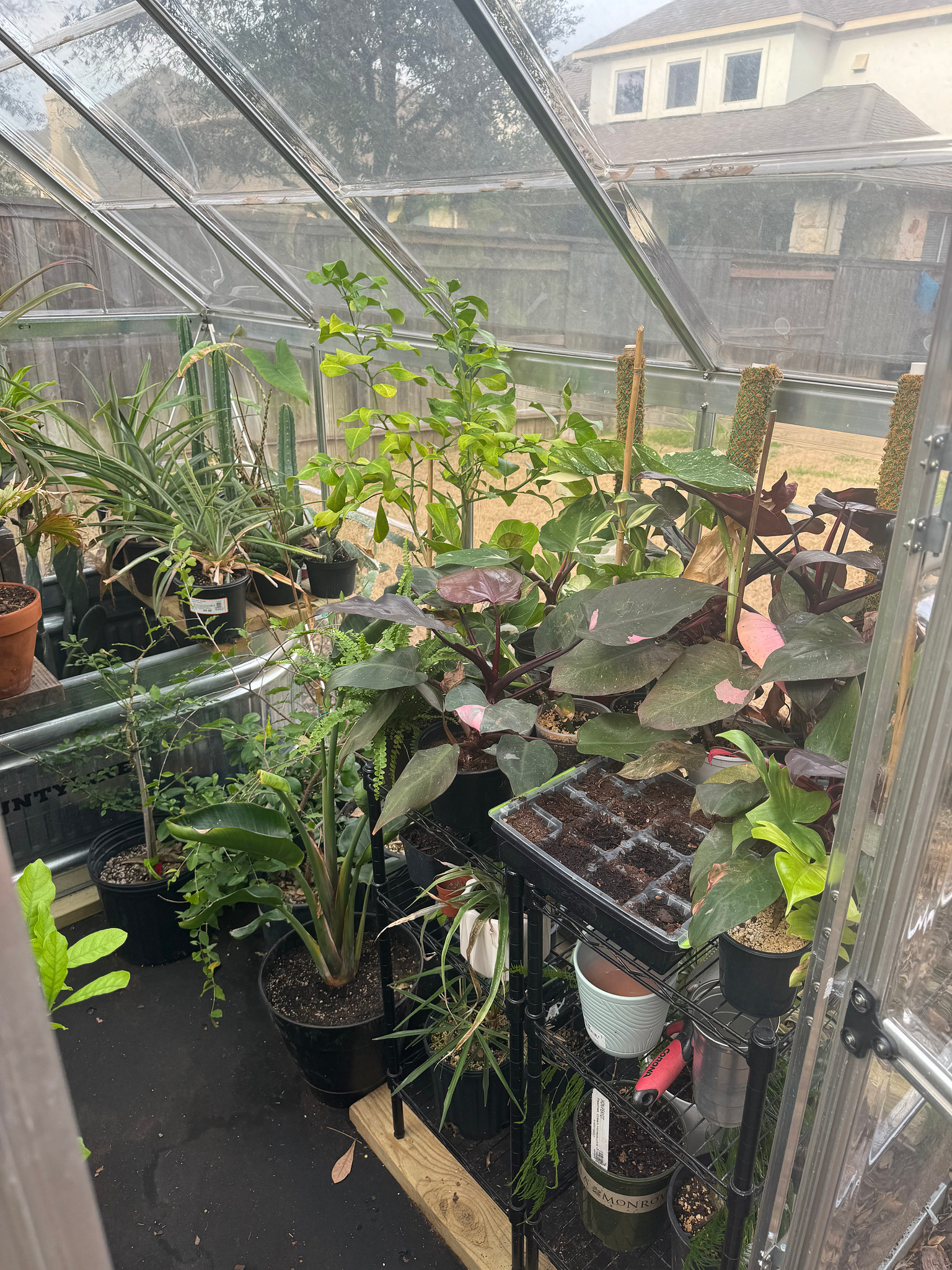 Sunny spot for seed propagation