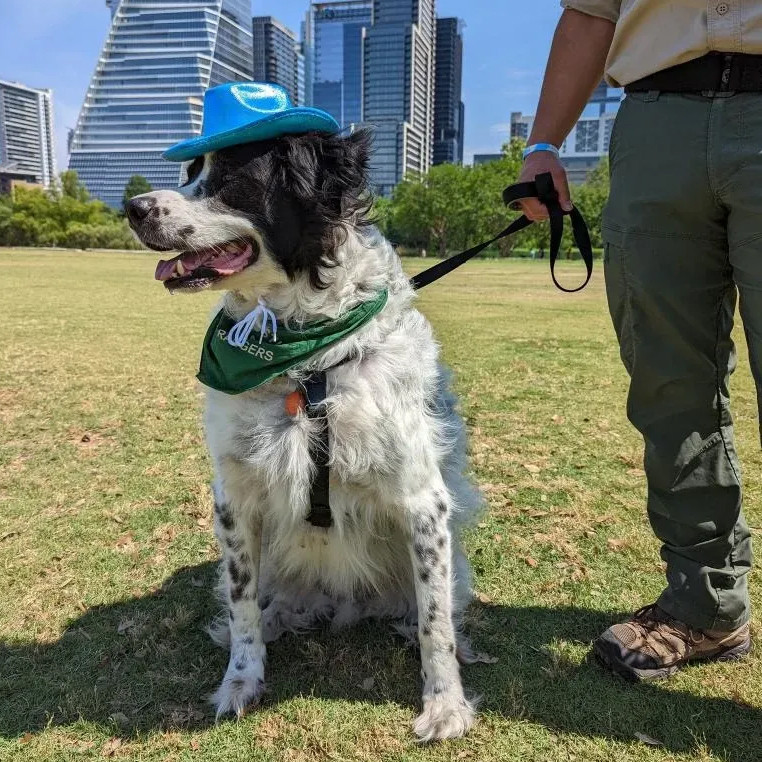 Park Rangers Bark Rangers Program