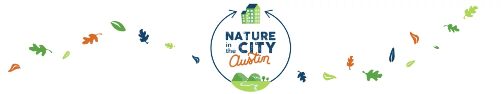 Nature in the City - Austin Blog