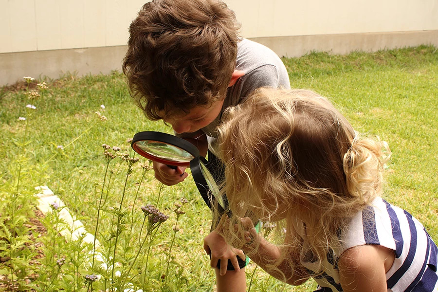 Children studying nature Davis May 2022 3x2.jpg