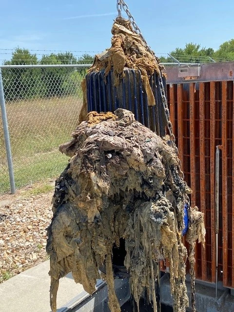 Pearce Lane Pump No Wipes in Pipes