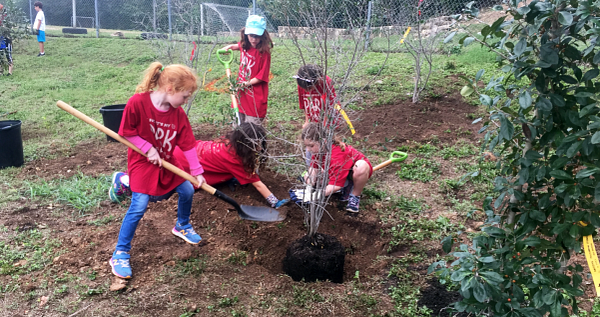 Tree Planting at Bryker Woods