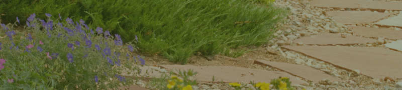 WaterWise Landscaping Banner (1)