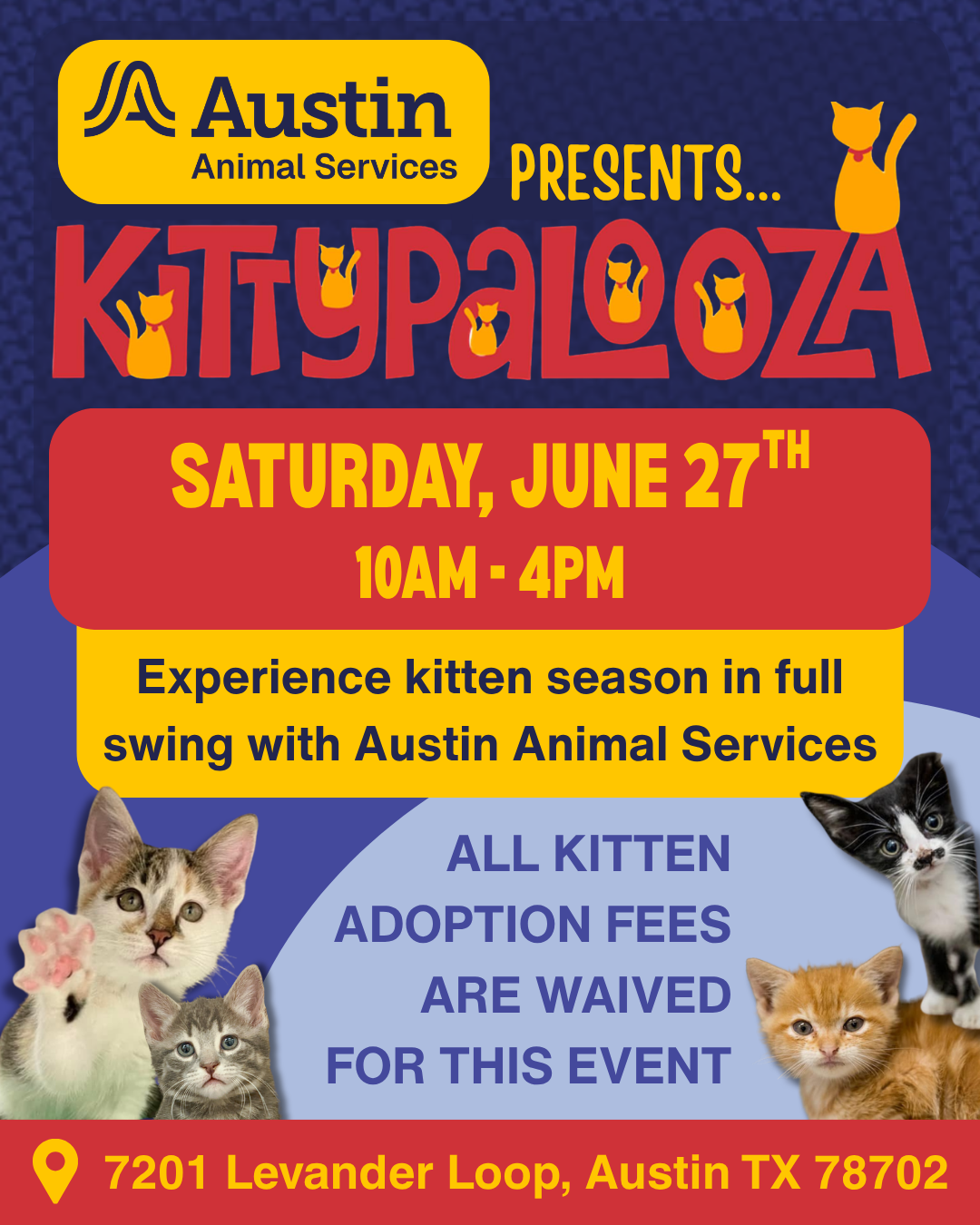kittypalooza 2026
