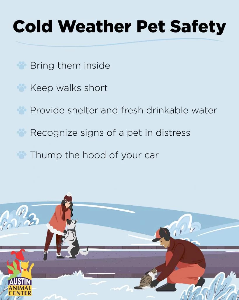 cold weather safety-01.jpg