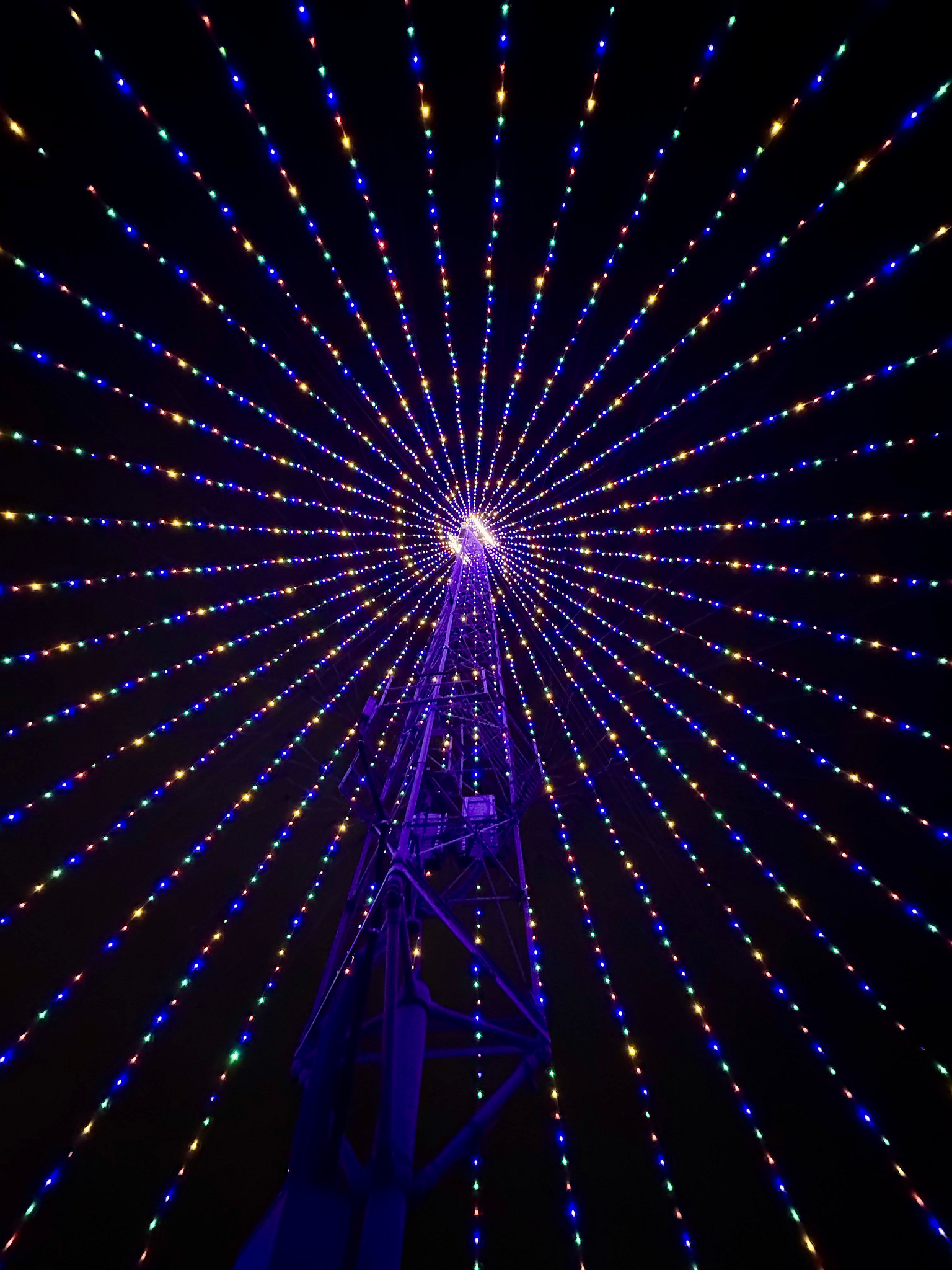 under-zilker-holiday-tree