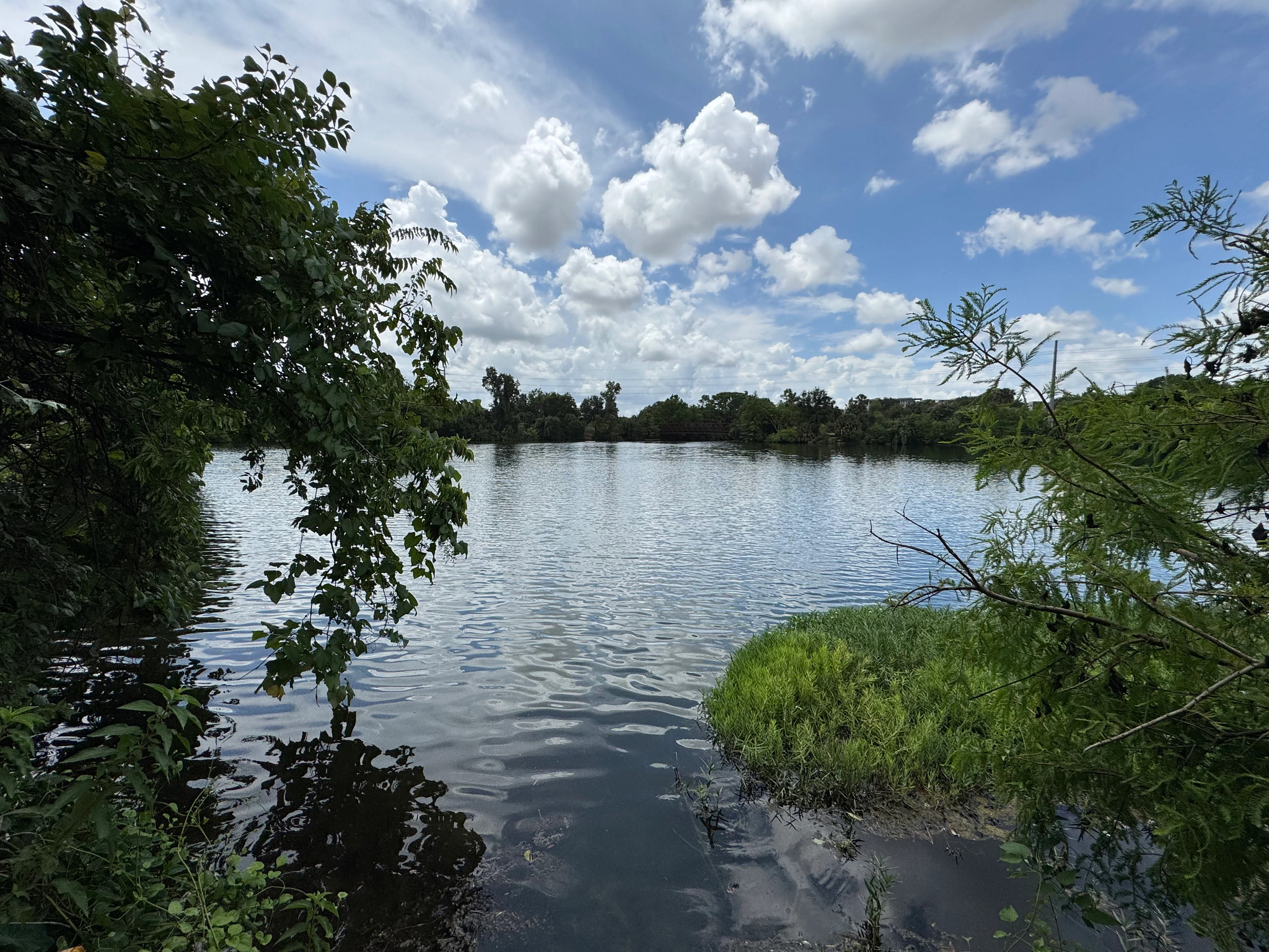 Lady Bird Lake view with trees on both sides