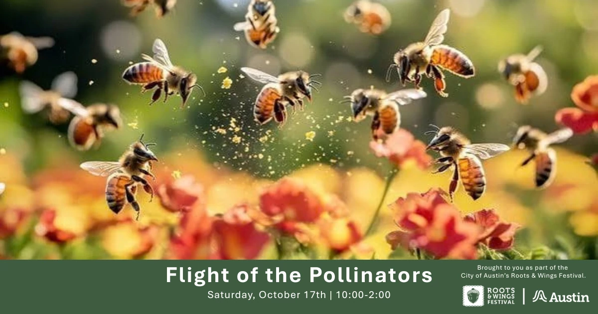 Flight of the Pollinators, Saturday, October 17, 10am-2pm, Austin Nature and Science Center
