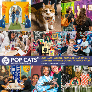 cat convention fun