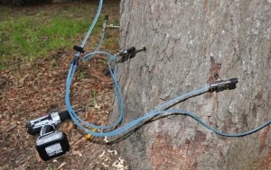 Tree-Injection-System-LR-300x189