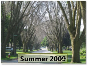 2009_Ohio_streetscape