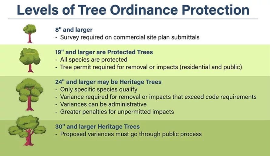 levelsoftreeprotection.jpg