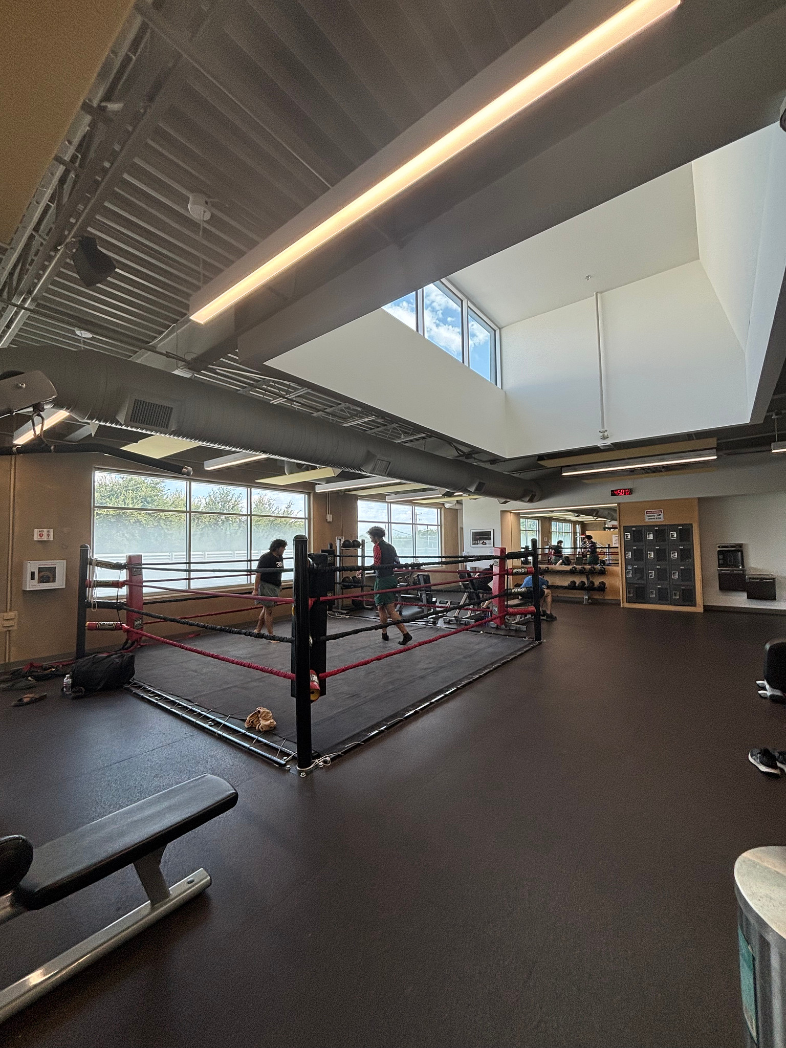 Boxing Ring