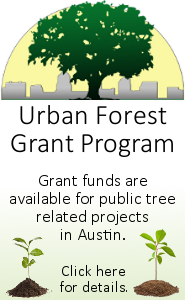 Forest-Trail-webpage-UFGP_promo