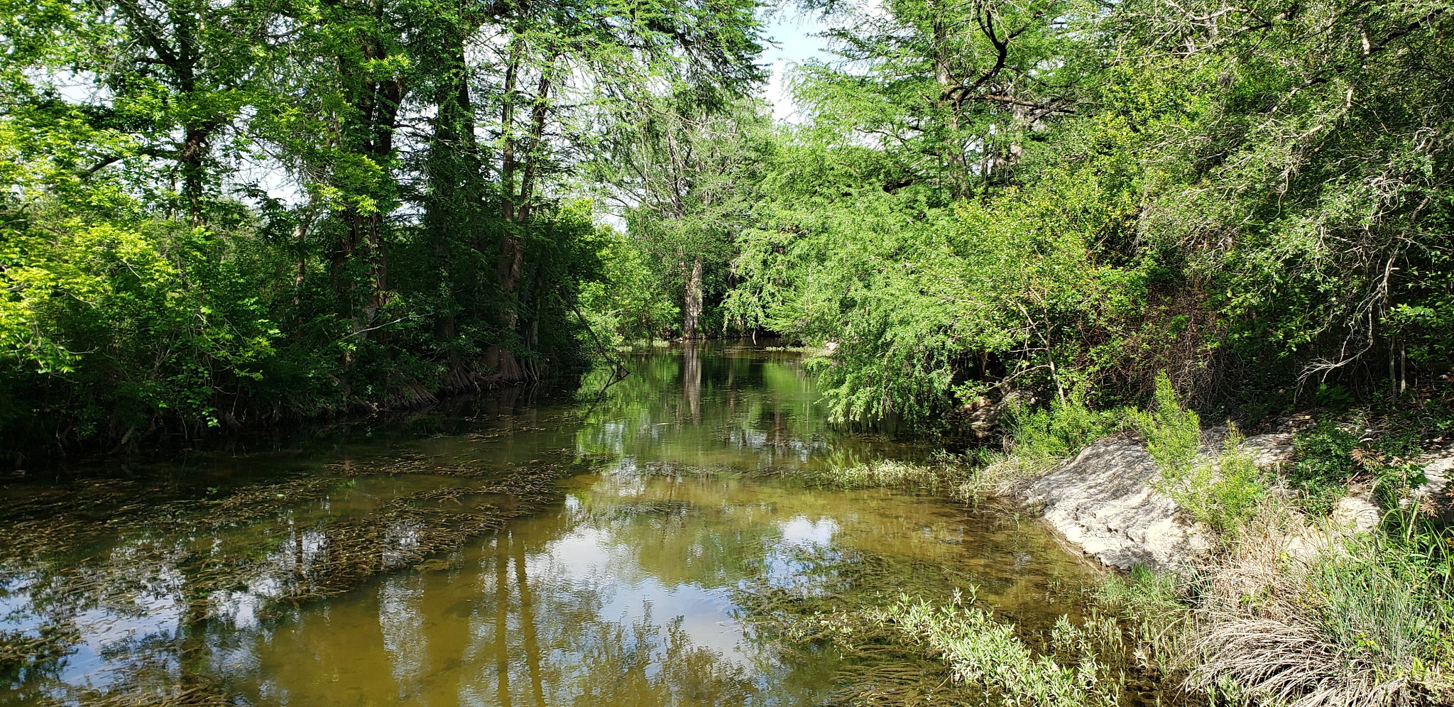 Onion Creek with water and trees around