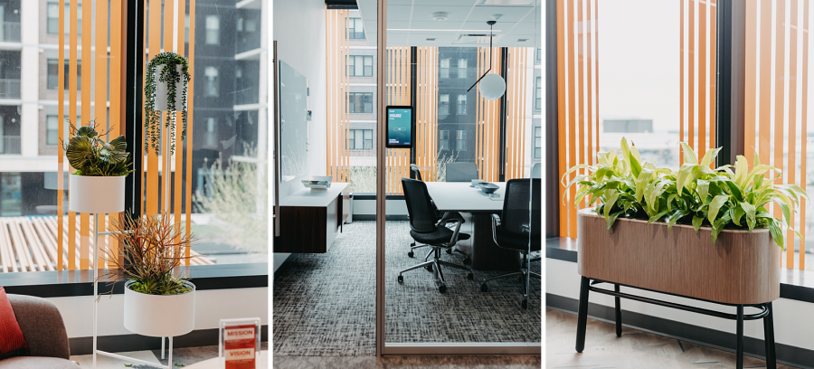 Three photos of Parkhill's Uptown offices. Left, a collection of plants at Parkhill's offices. Center, natural light fills a conference room. Right, a large planter in a hallway.