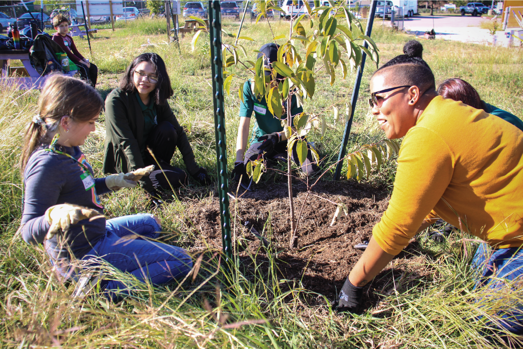 Image of a tree planting.