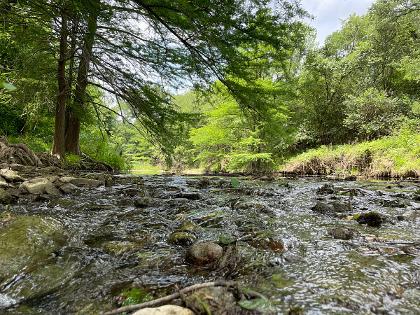 A low angle photo of water running through a creek