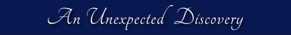 An Unexpected Discovery-01.jpg